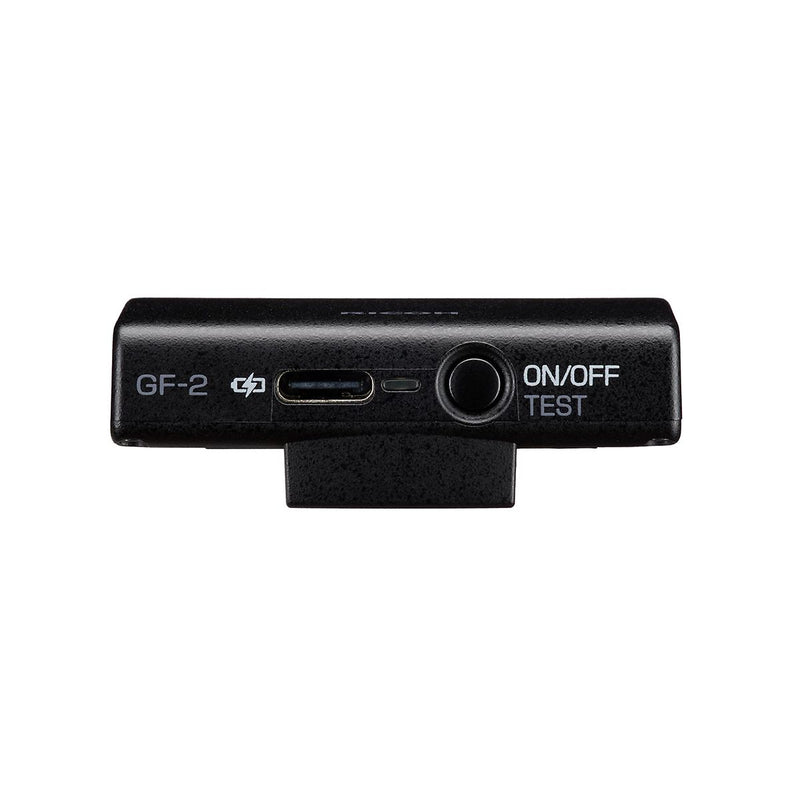 Ricoh GF-2 External Flash