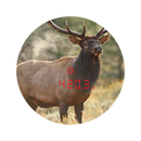 Athlon Cronus 10x50 Laser Rangefinder Binoculars