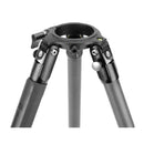 Vanguard Endeavor RL 303CGM Carbon Fiber Tripod with GM-70 Head - Clast