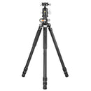 Vanguard VEO 3+ 303CBS Carbon Fiber Tripod with BH-250S Ball Head - Clast