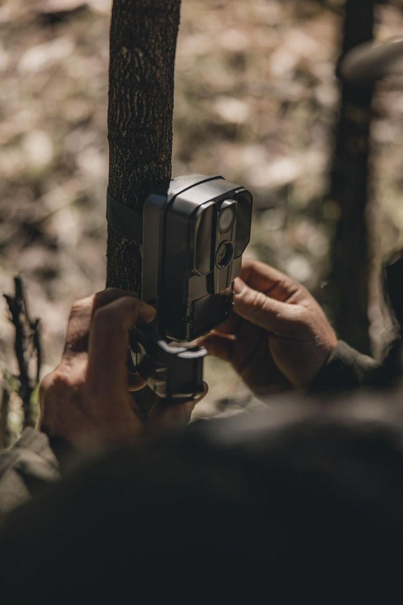 Ridgeline 4K Trail Camera - clast